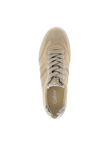 Gabor Sneaker Low in Beige