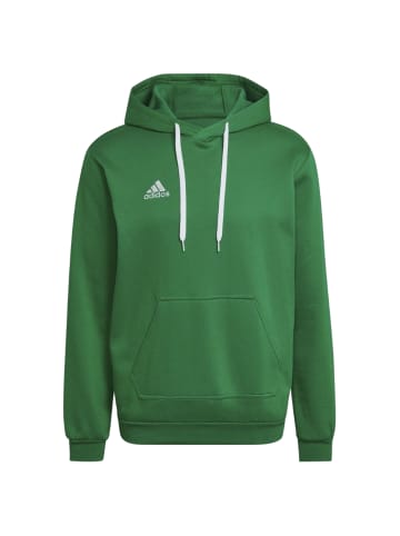 adidas Performance adidas Entrada 22 Sweat Hoodie in Grün