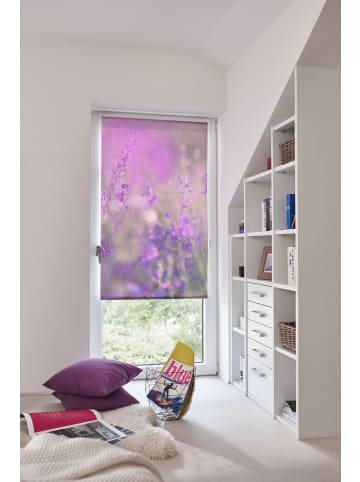 Lichtblick Seitenzugrollo in Fuchsia Violett