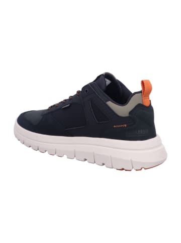 Palladium Sneaker Low in schwarz