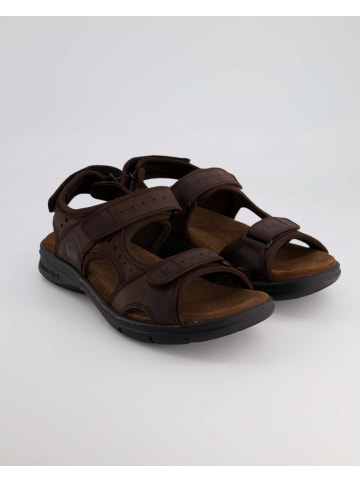 PANAMA JACK Sandalen in Braun