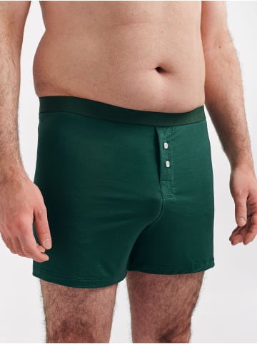 Erlich Textil  weite Boxershorts LIGHT TOUCH BOXERS IM 3er PACK in waldgrün