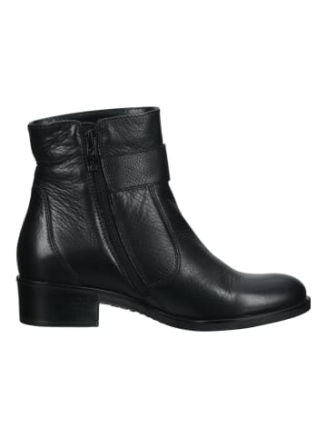 ara Stiefelette in Schwarz