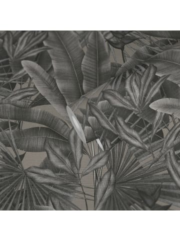 A.S. Création Tapete Tropical Nights in Schwarzgrau
