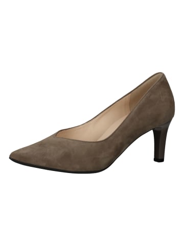 Högl Pumps in Taupe