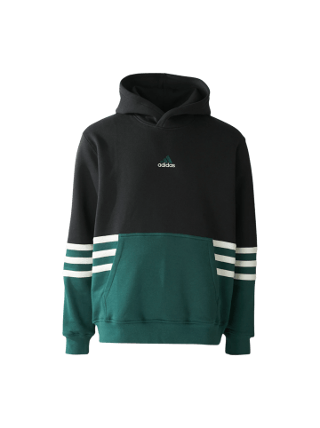 adidas Originals Hoodie JY2798 Mehrfarbig