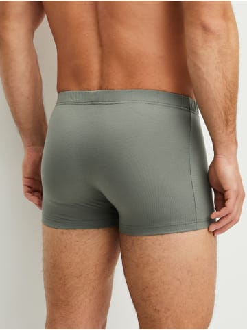 Calida New Boxer in agave green