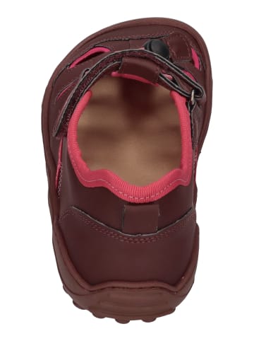 KOEL Sandalen MADISON  in rot