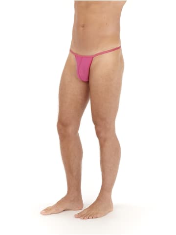 HOM Basic G-String Plumes in Pink