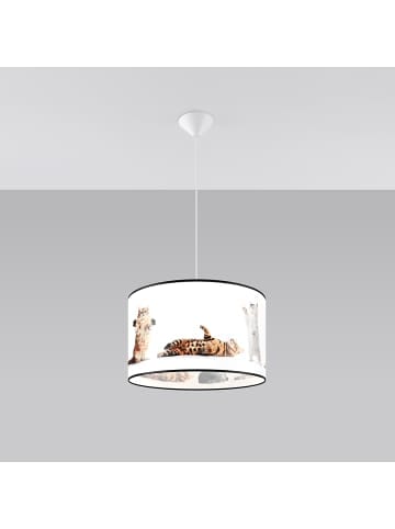 Nice Lamps Pendelleuchte KITTY 40 H 372
