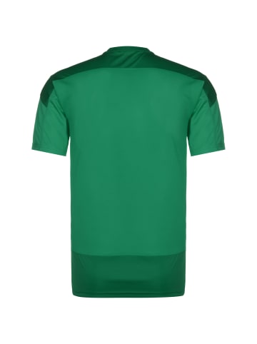 Puma Trainingsshirt teamGoal 23 in grün / dunkelgrün