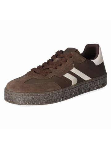 Low Sneaker in braun