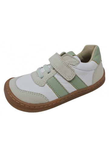 KOEL Klettschuh Dylon in Grün