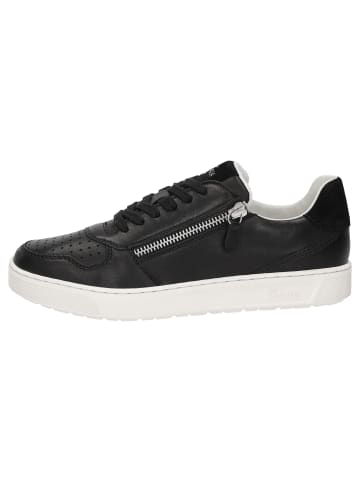 Sioux Sneaker Tedroso-DA-712 in schwarz