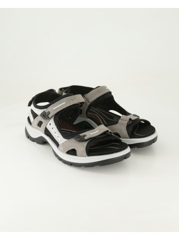 Ecco Sandalen in Grau