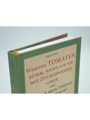 Landwirtschaftsverlag Werden Tomaten süßer, wenn ich sie mit Zuckerwasser gieße