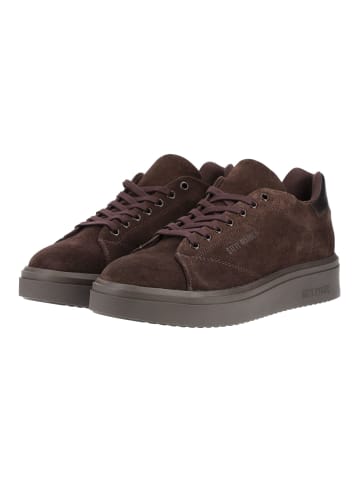 Steve Madden Sneaker FYNNER Chocolate