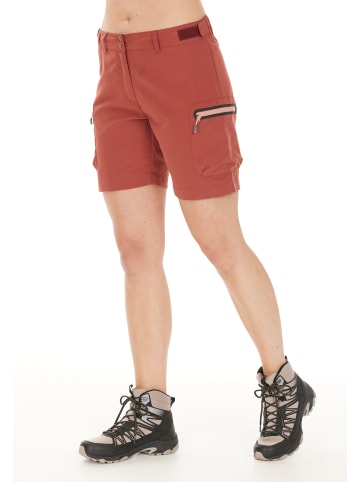 Whistler Shorts Stian in 5112 Henna