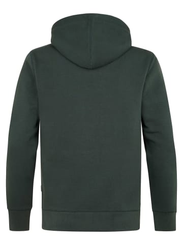 Petrol Industries Raglan-Hoodie mit Print cedarwood in Grün