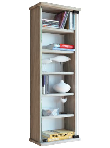 VCM  Holz CD DVD Wandregal Schrank Loposa Glastür in Sonoma-Eiche