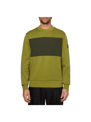 Calvin Klein Sweatshirt in LRV