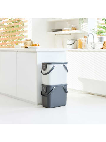 Rotho Albula Mülltrennungssystem 25l für die Küche in Mistletoe white