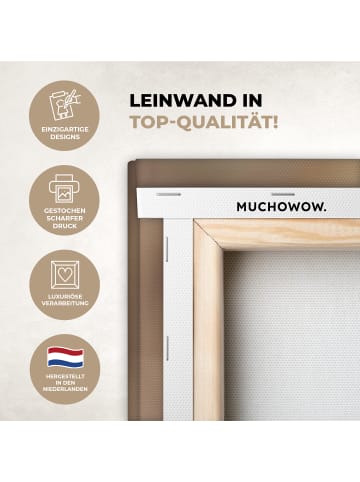 MuchoWow Leinwand bilder Nahaufnahme Flaum (BxH)