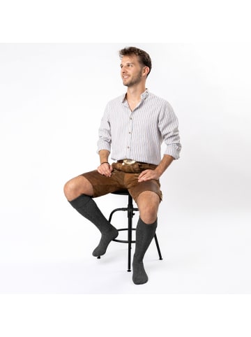 Occulto 1er Pack Lange Trachtensocken Silberdistel in Dunkelgrau
