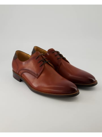 DIGEL Anzug- & Businessschuhe in Braun