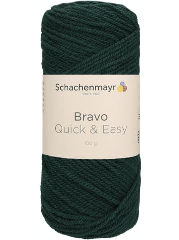 Schachenmayr since 1822 Handstrickgarne Bravo Quick&Easy, 100g in Seegras