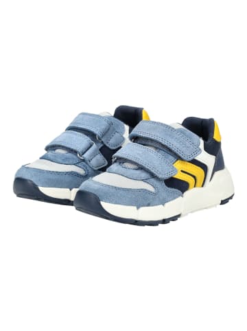 Geox Sneaker in Blau/Gelb
