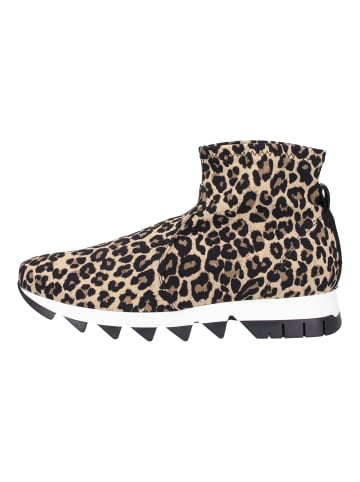 Rapisardi Stiefelette in Leopard