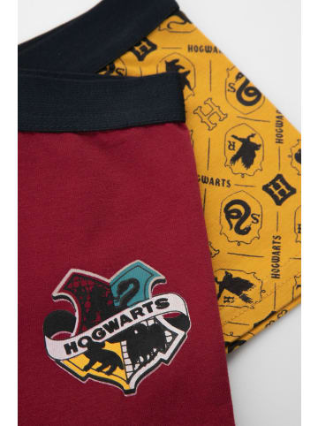 Coccodrillo Unterhose in bunt