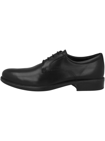 Geox Businessschuhe U Carnaby D in schwarz