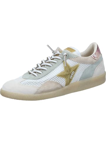 Cetti Sneakers Low in tierra