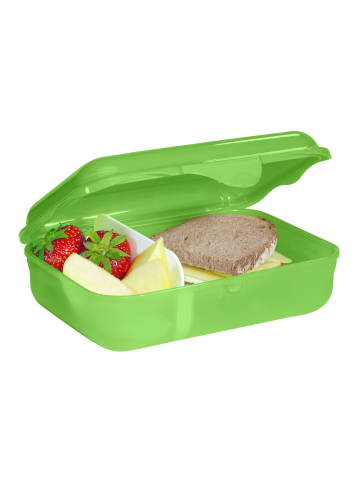 Step by Step Brotdose 18 cm in Dino Targo