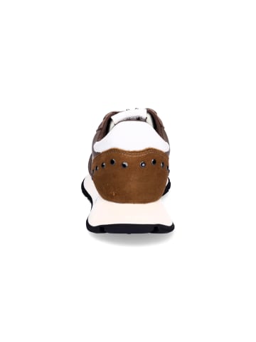 Sun68 Sneaker Ally Studs in Braun