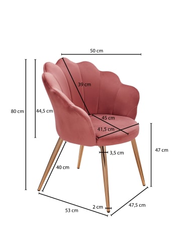 FineBuy Esszimmerstuhl "SV61262" in Rosa