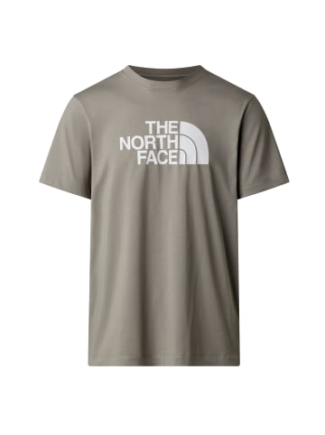 The North Face Evolution Half Dome Regular T-Shirt in Grau