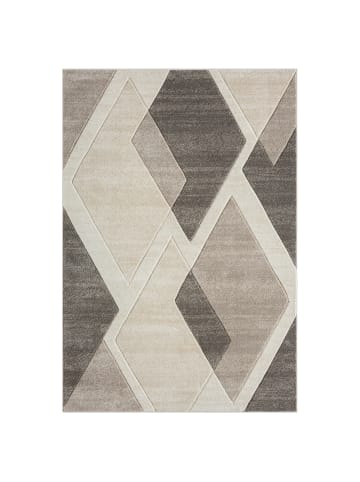 payé Teppich Kurzflor Bonita 67