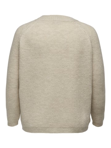 ONLY Carmakoma Strickpullover in Whitecap Gray