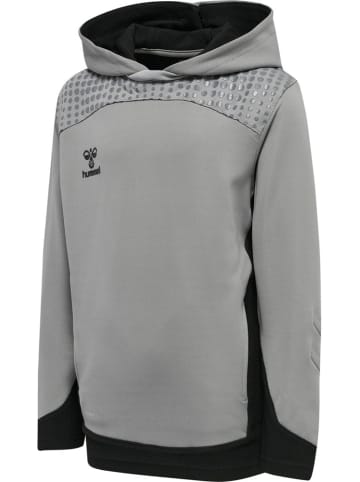 Hummel Kinder Sweatshirt "Hmllead" in Grau