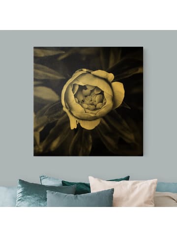 WALLART Leinwandbild Gold - Pfingstrosenblüte vor Blättern in Schwarz-Weiß