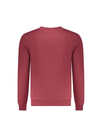 U.S. Polo Rot Herren Sweatshirt aus Polyester