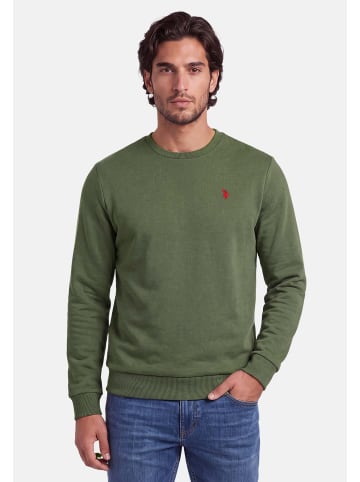 U.S. Polo Assn. Pullover USJaxxon – Herren Sweatshirt mit Rundhalsausschnitt in Olive