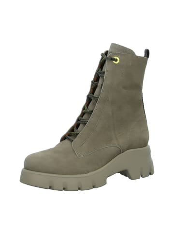 Paul Green Schnürstiefeletten in Beige