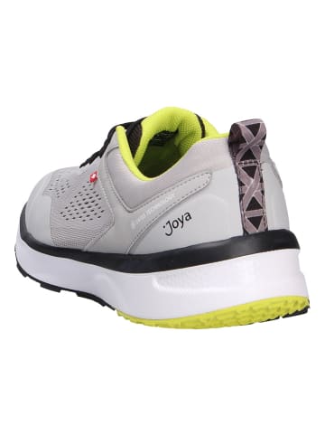 Joya Schnürschuh VELOCE M LIGHT GREY in grau