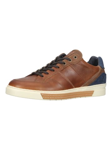 Bullboxer Sneaker in Cognac