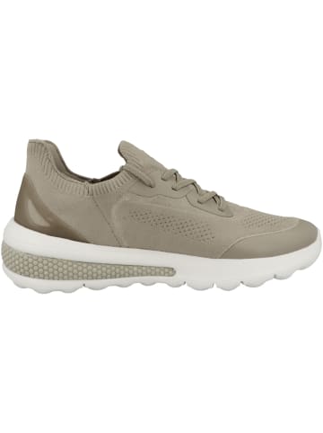 Geox Sneaker low D Spherica Actif A in beige