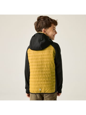 Regatta Hybrid Softshelljacke Andreson in Braun